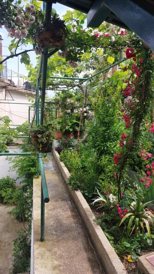 Relax Guesthouse Gjirokastër 외부 사진